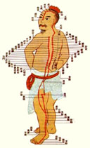 Puntos de Acupuntura y Meridianos